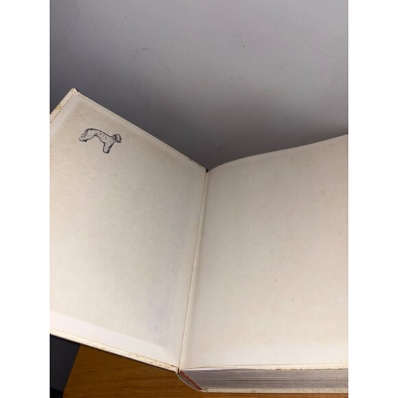 The NIV Exhaustive Concordance Hardcover Goodrick & Kohlenberger III Book 1990 - Picture 8 of 16